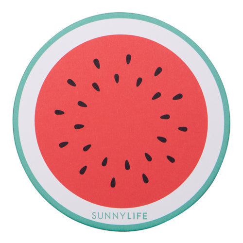 Pineapple/Watermelon Coaster Set
