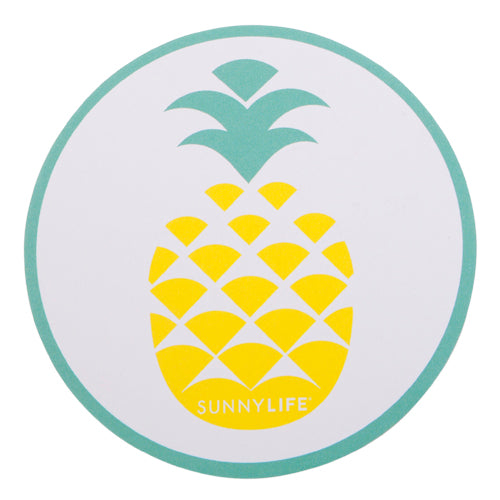 Pineapple/Watermelon Coaster Set