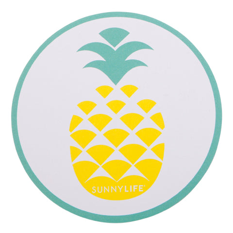 Pineapple/Watermelon Coaster Set